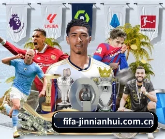 fifa-jinnianhui.com.cn APP